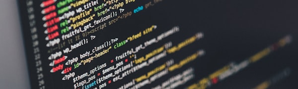 Bespoke Software Development